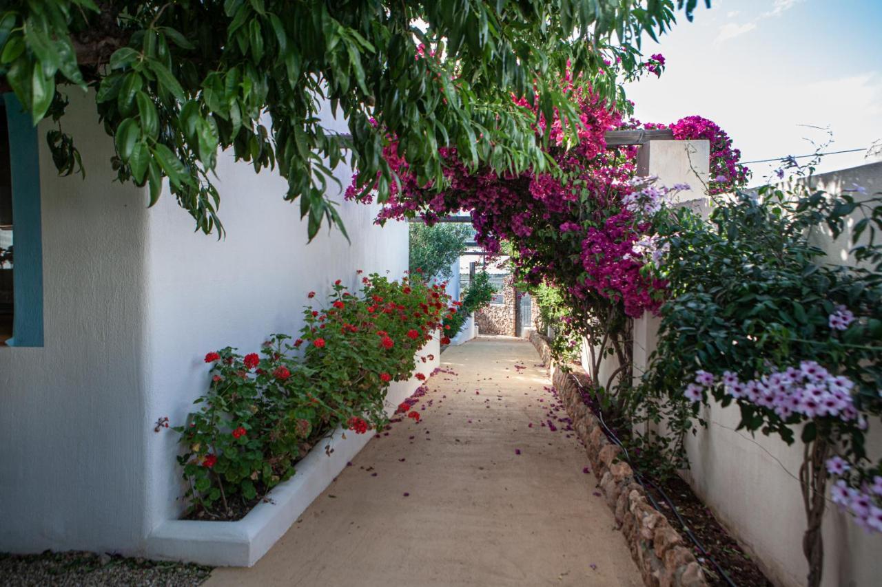 El Rincon De Albaricoques Apartment